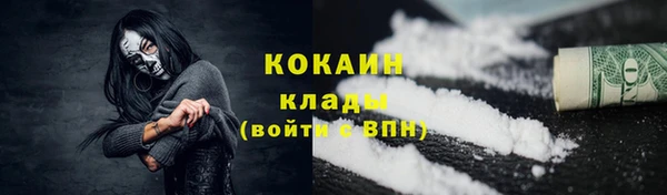 МДПВ Гусев