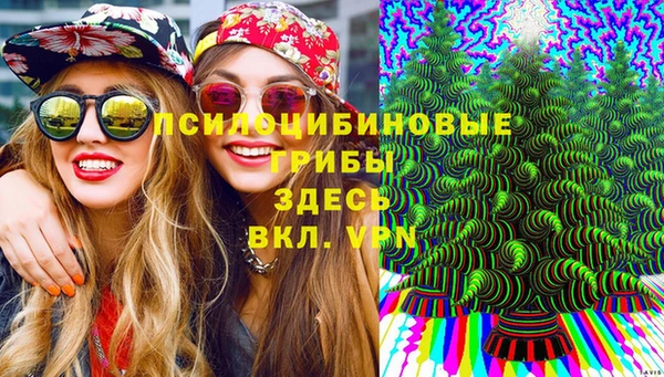 МДПВ Гусев