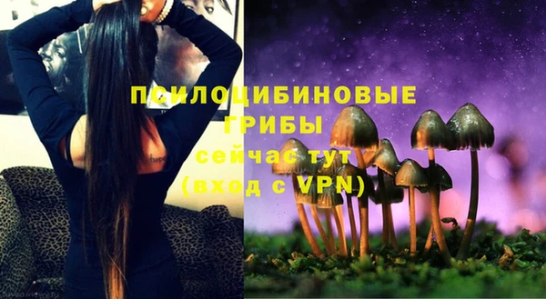 тгк Гусь-Хрустальный