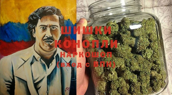 тгк Гусь-Хрустальный