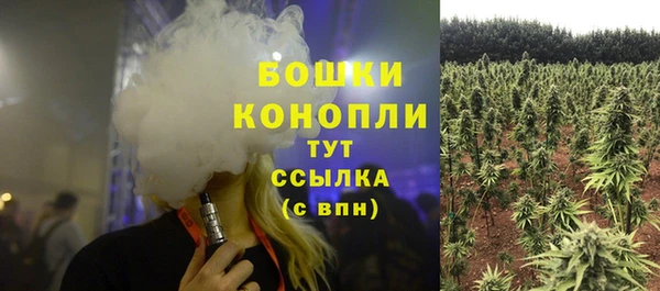 МДПВ Гусев