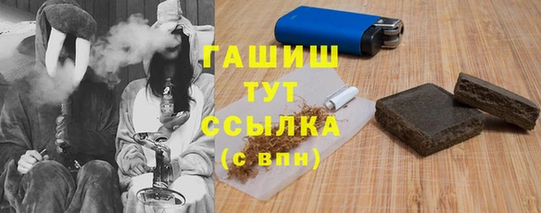 МДПВ Гусев